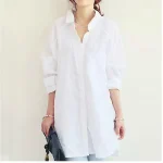 13700857.webp