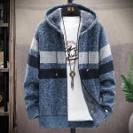 8856523.webp