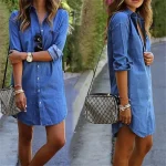 9397511.webp
